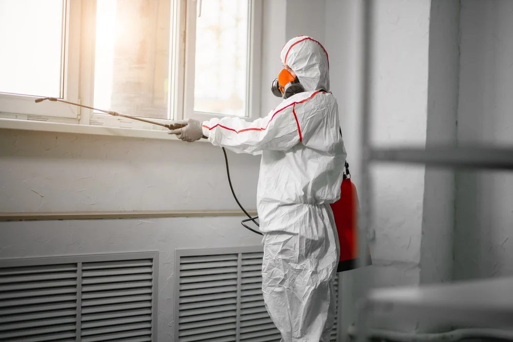 Professional mold remediation services in Ardmore, PA